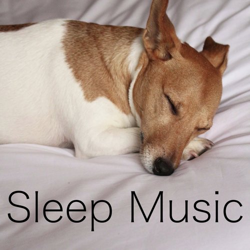 Sleep Music_poster_image