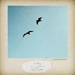 Someday (feat. Rohini Chandra)