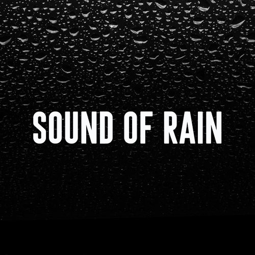 Sound of Rain_poster_image