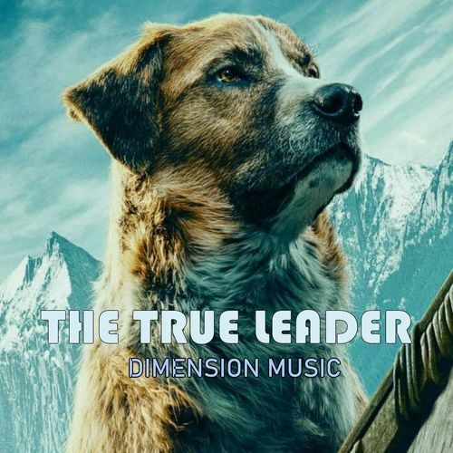 The True Leader