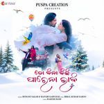 To Bina Kichhi Parena Bhabi