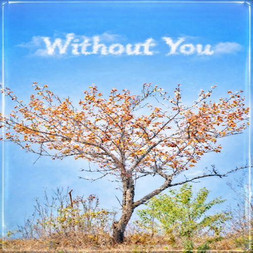 Without you