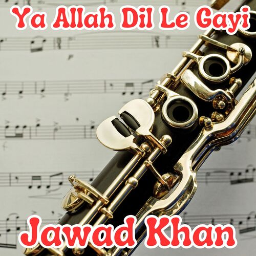 Ya Allah Dil Le Gayi