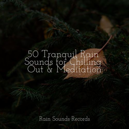 50 Tranquil Rain Sounds for Chilling Out & Meditation