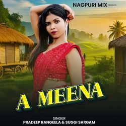 A Meena-PyVbVQ1KXFQ