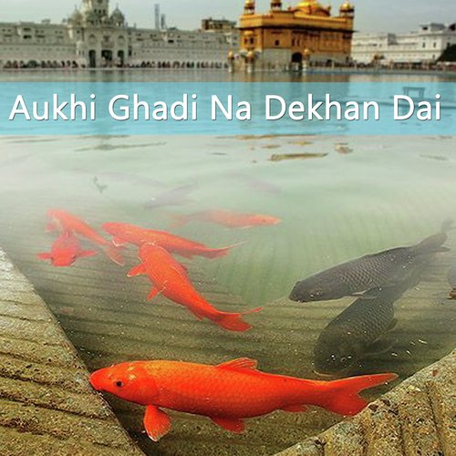 Aukhi Ghadi Na Dekhan Dayi_poster_image