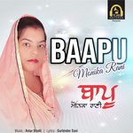 Baapu