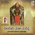 Vedudaam Chilukuru