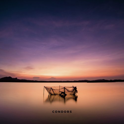 Condors cover art