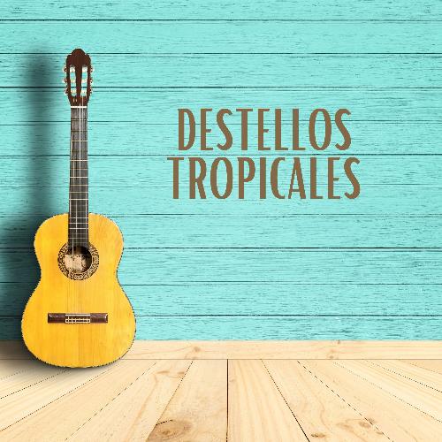 Destellos Tropicales