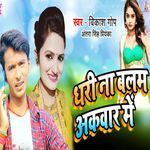 Dhari Na Balam Akawar Me