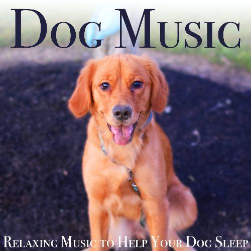 Dog Music: Relaxing Music to Help Your Dog Sleep