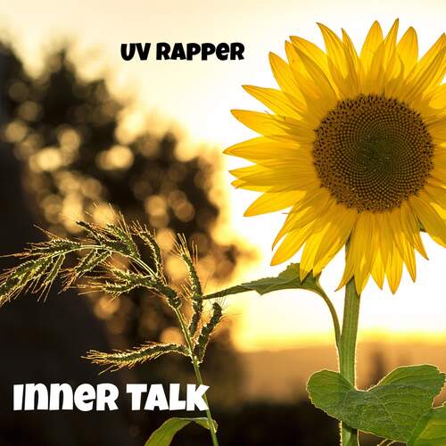 INNER TALK