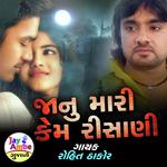 Janu Mari Kem Rishani