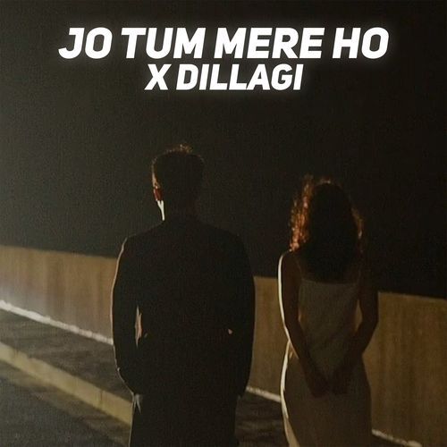 Jo Tum Mere Ho X Dillagi (Slowed + Reverb)