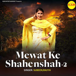 Mewat Ke Shahenshah-2-BSIiBydnfwc