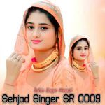 Sehjad Singer SR 0009