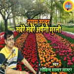 Shayam Sundar Sabere Sabere Aapani Murali