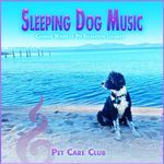 Peaceful Pet Sleep Ascension artwork