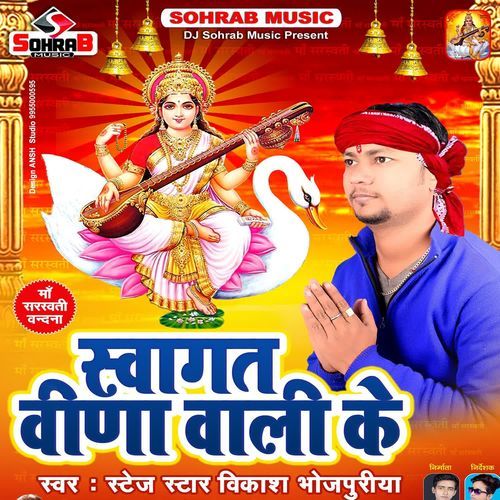 Swagat Vina Wali Ke
