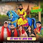 Tere Dham Par Aaya Baba