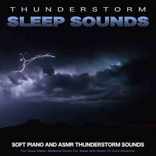 Music For Sleeping Ensemble cover art
