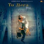 Tu Mera Hua