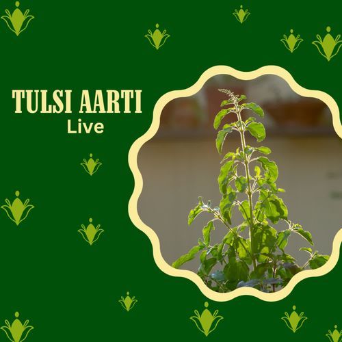 Tulsi Aarti live