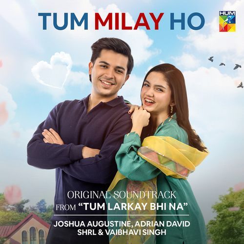 Tum Milay Ho (Original Soundtrack from Tum Larkay Bhi Na)