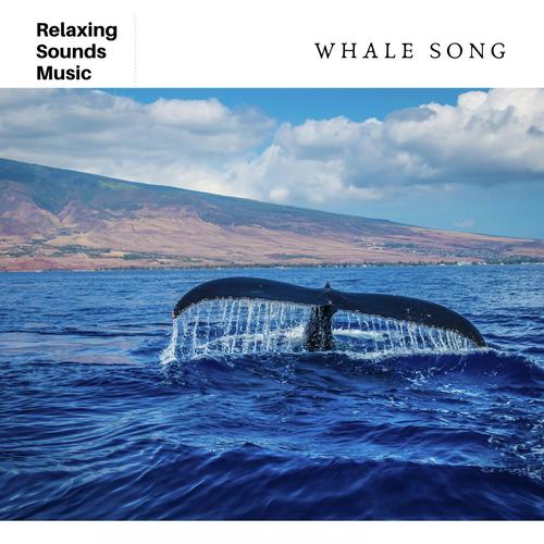 Sounds of Happy Whales