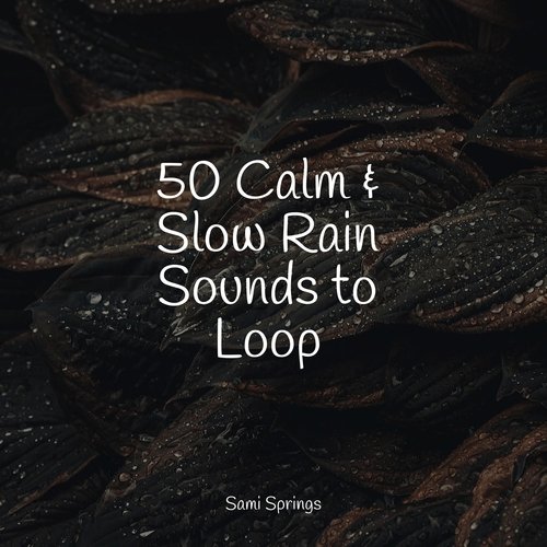 50 Calm &amp; Slow Rain Sounds to Loop_poster_image