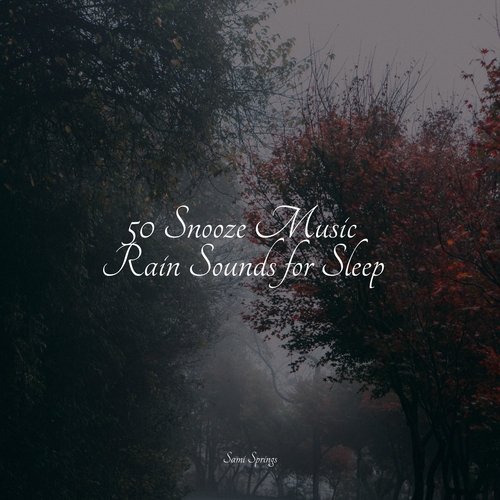 50 Snooze Music Rain Sounds for Sleep_poster_image