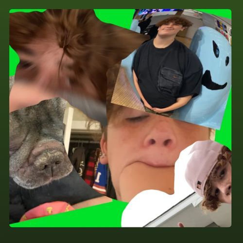 Sturdy cover art