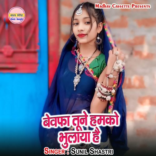 Bewafa Tune Humko Bhulaya Hai