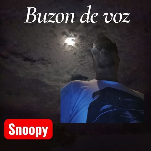 Buzon de voz