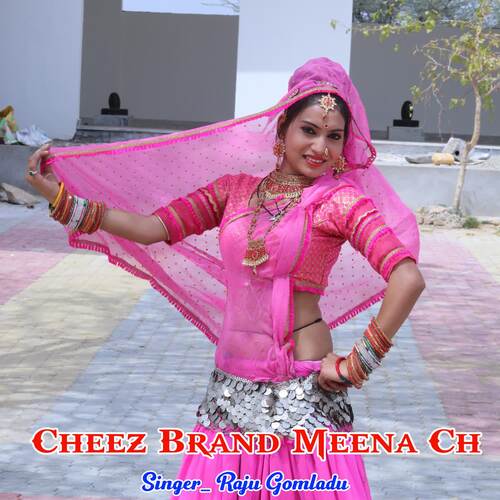 Cheez Brand Meena Ch