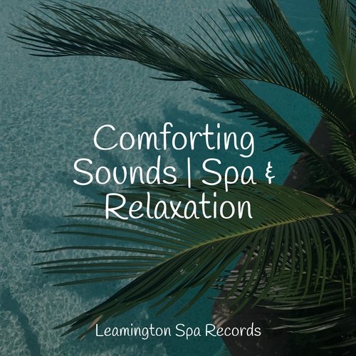 Massage Spa cover art
