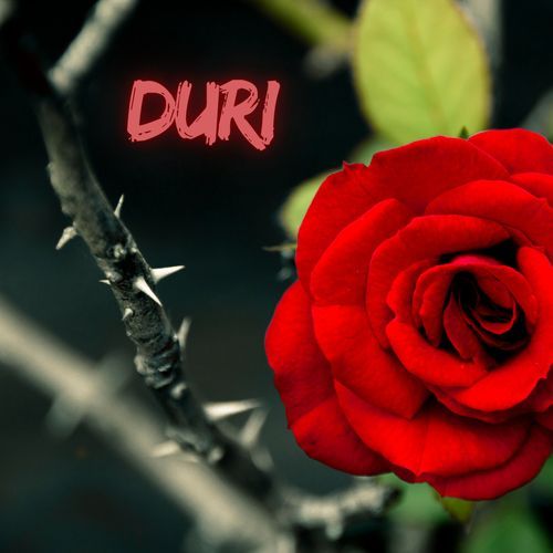 DURI_poster_image