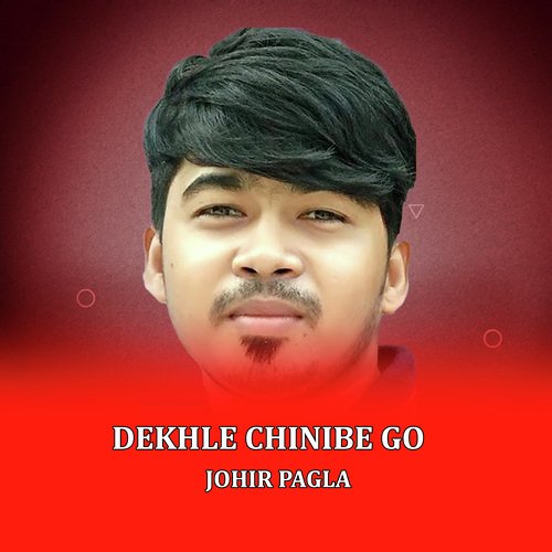 Dekhle Chinibe Go