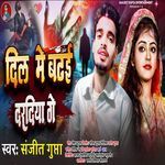 Dil Me Badhai Dardiya ge