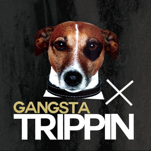 Gangsta Trippin (Instrumental)_poster_image