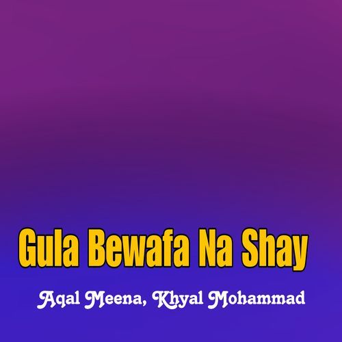 Gula Bewafa Na Shay