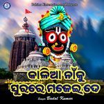 Kalia Na Ku Surare Majeide