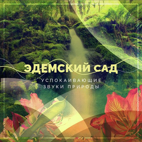 Успокаивающие звуки природы - Эдемский сад
