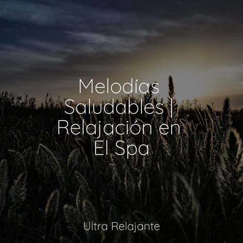 Naturaleza cover art