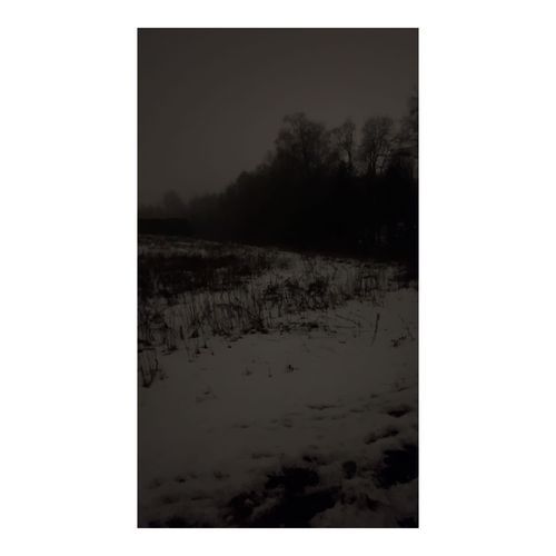 Merely cover art