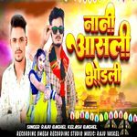 Nanee aaslee bhodalee