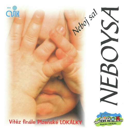Nedbalý Syneček cover art