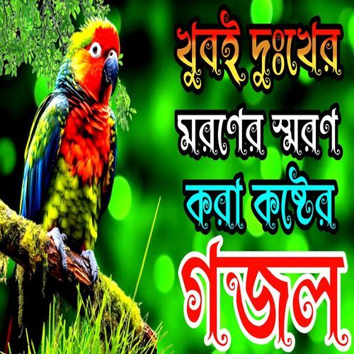 New Islamic Bangla Gazal