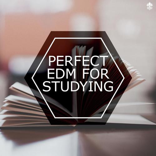 Perfect EDM For Studying